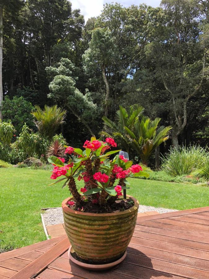 N.Z Country Home Whangarei Exteriér fotografie